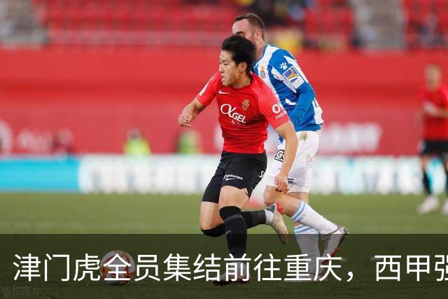 津门虎全员集结前往重庆，西甲强援加入争取保底1分
