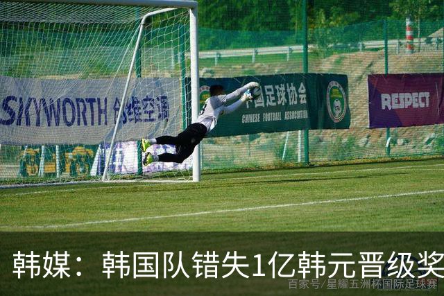韩媒：韩国队错失1亿韩元晋级奖 但每人仍可拿8000万津贴